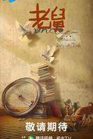 《老舅》电视剧在线观看